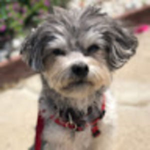 Meet your Posher, Leah